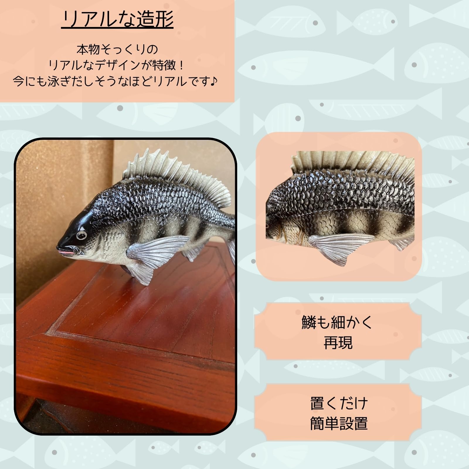 Amazon.co.jp: [S.T.S.G] 鯛 チヌ 魚 クロダイ 黒鯛 置物 置き物